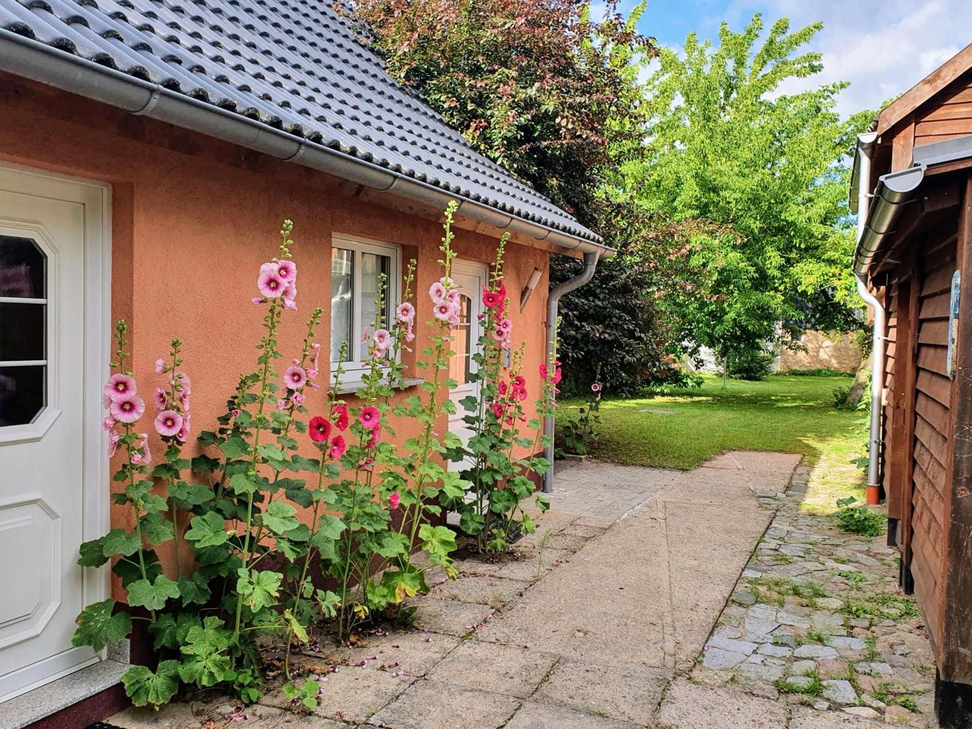 Ferienhaus Moewe Hanshagen  Экстерьер фото